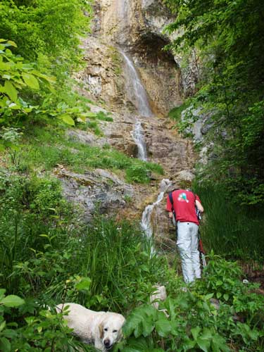 Foto Cascada Pisatoarea (c) Petru Goja